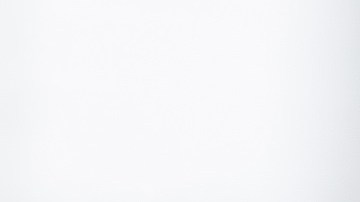 fraude de seguro de carros