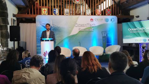 latest_research_on_the_marine_life_conservation_in_Ireland