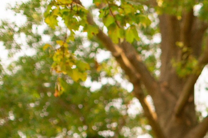 Qué es ser imprudente al volante en Texas