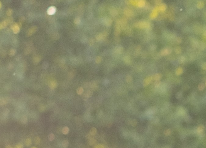 ¿Cómo saber si tengo multa en Chicago?