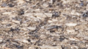 app para alto de transito california