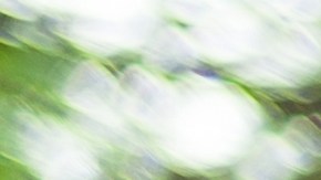 multas de trafico en usa