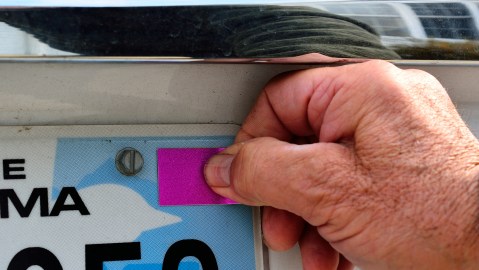 pago de placas