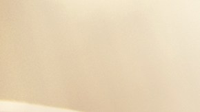 Máquina para lavar carros: lo más importante que debes considerar