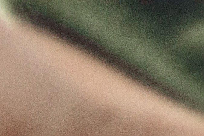 Mejores máquinas para lavar alfombras del carro