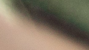 Mejores máquinas para lavar alfombras del carro