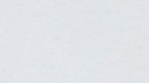 pagar ticket en chicago por placas