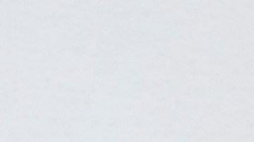 pagar ticket en chicago por placas