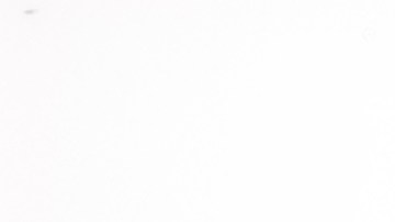 borrar titulo de carro