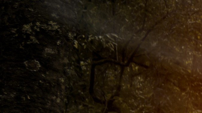 Qué es la tracción integral