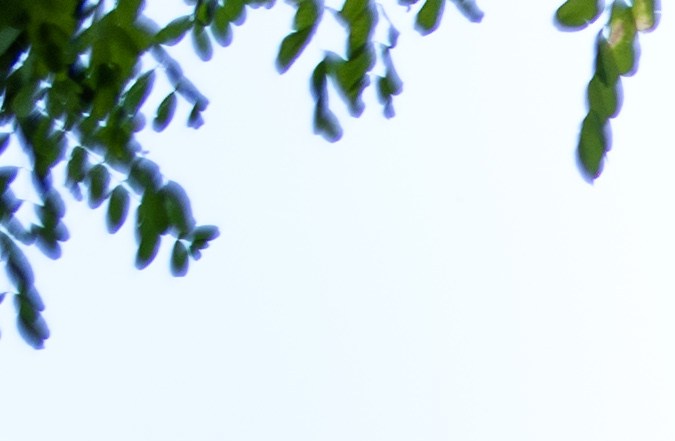 que es una traila en estados unidos