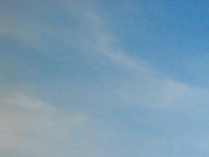 Yonkes de Laredo Texas