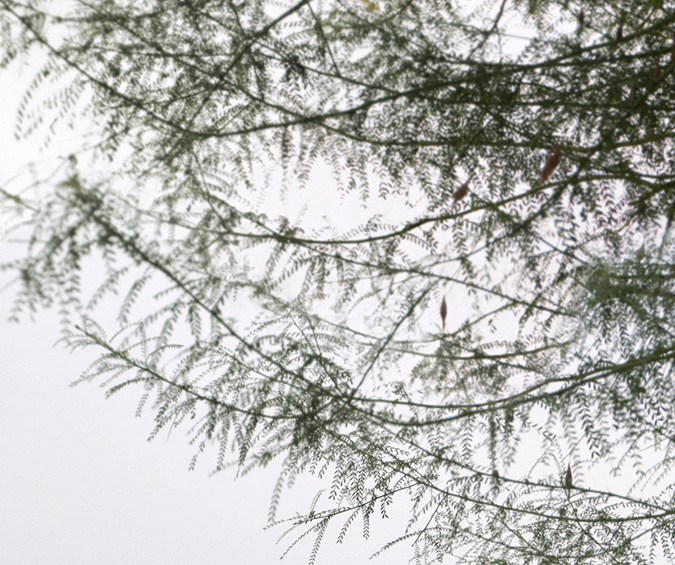 Mazda presenta el nuevo Miata MX-5 2024