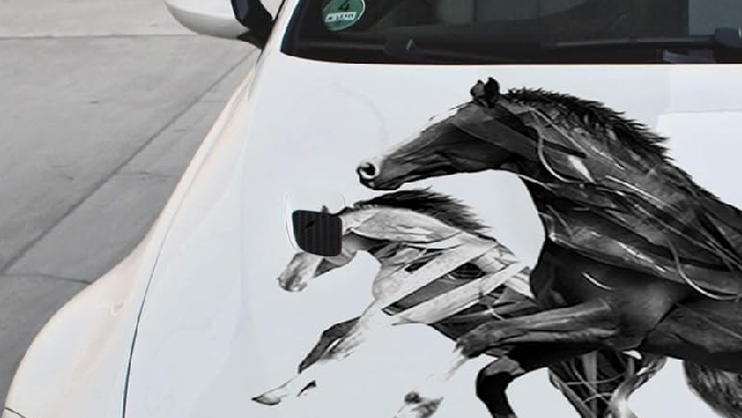 calcomanias para carros personalizadas