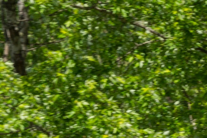 service stabilitrak en español