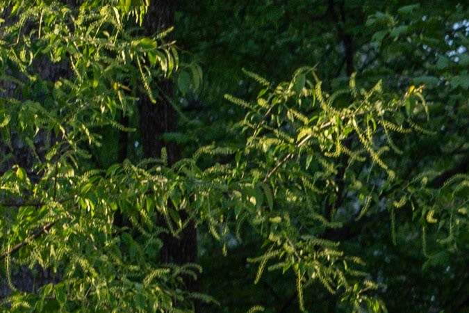 Chevrolet Trax 2024.