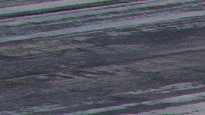 cuanto cuesta rentar un tesla en usa