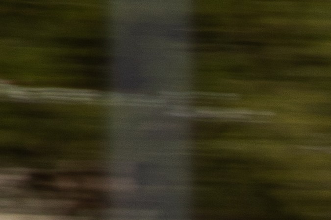 las motos de 50cc necesitan placas en miami