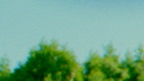 Hyundai Palisade campaña publicidad latinos