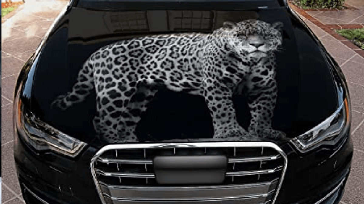 tuning calcomanias para autos personalizadas