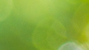 como funciona un lease de auto