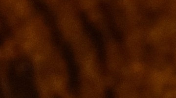 carros en Estados Unidos