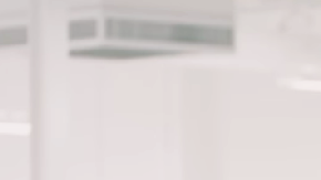 ¿Sabías de la Colección Blanca de Porsche escondida en secreto y lista para ser subastada?