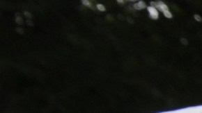 Cita en corte por manejar sin licencia