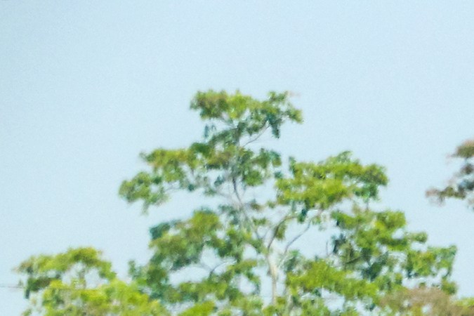 Conoce los tipos de camiones que existen y sus características