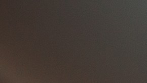 Mejores soportes de teléfonos para el auto