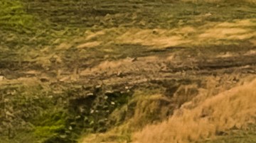 carros de montaña