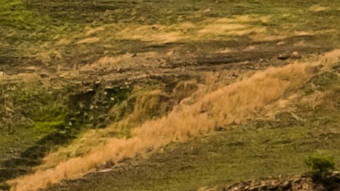 carros de montaña