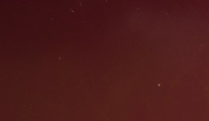 mejores frases de parachoques