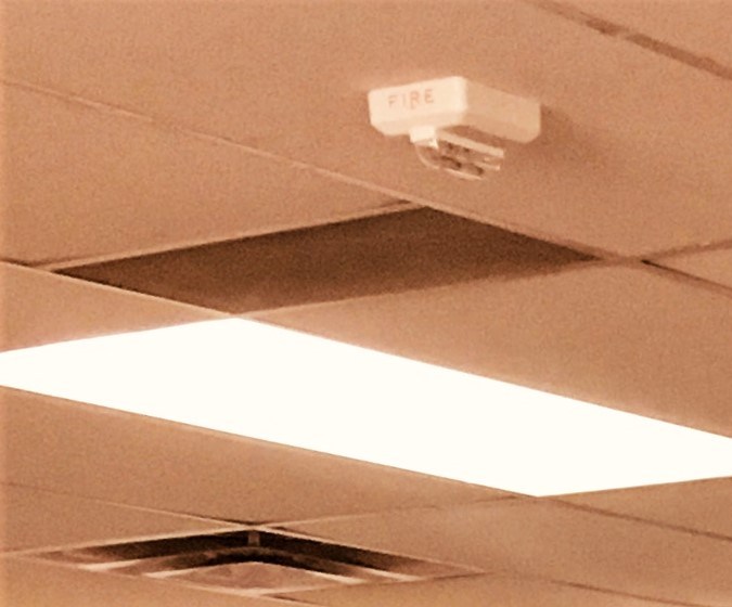 nuevas placas de colorado