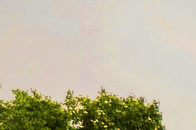 road trip consejos ahorro dinero