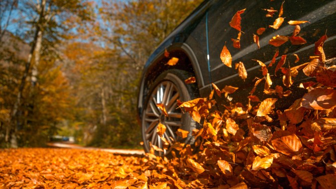 otoño