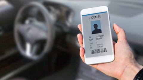 licencia digital en Georgia