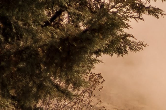 Diferencias entre un auto de rally y uno de calle