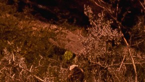 Diferencias entre un auto de rally y uno de calle