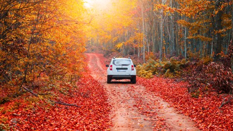 Consejos para cuidar el auto en otoño