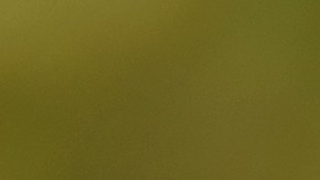 escuelas de manejo en phoenix arizona