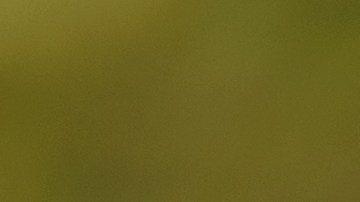 escuelas de manejo en phoenix arizona