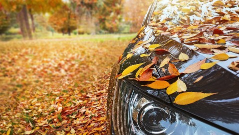 Otoño