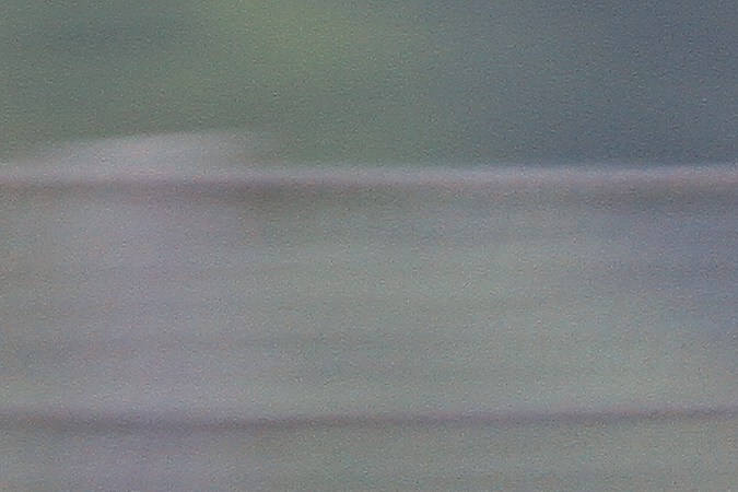 Cuánto cuesta una Moto GP