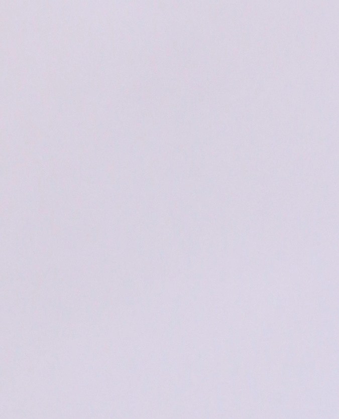 Cómo Funciona el motor Wankel o rotativo