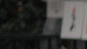 ¿Es legal personalizar la matrícula del auto?