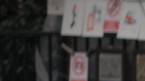 ¿Es legal personalizar la matrícula del auto?
