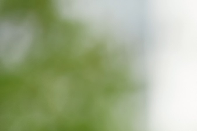 examen de manejo en indiana