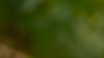 que significa gdl en new jersey