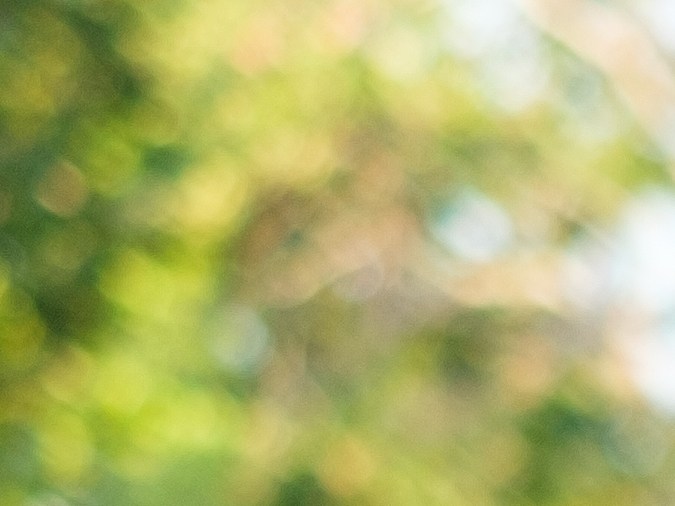 pagar tickets de parking